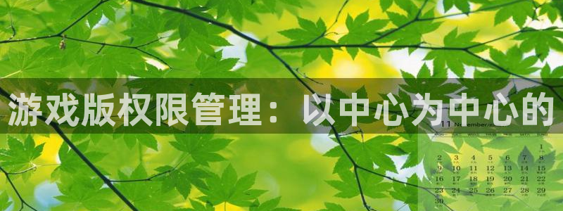 火狐电竞价 5O6917 火狐电竞app官网：游戏版权限管理：以中心为中心的