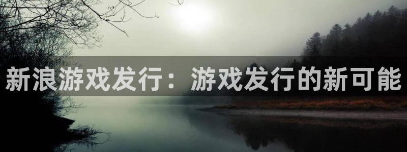 陕西火狐电竞app官网子文化创意干啥的：新浪游戏发行：游戏发行的新可能