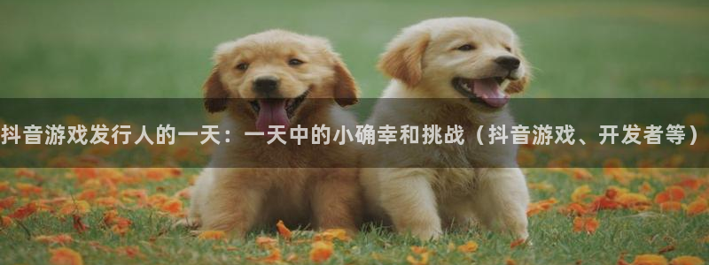 广东火狐电竞app官网营销策划有限公司：抖音游戏发行人的一天：一天中的小确幸和挑战（抖音游戏、开发者等）