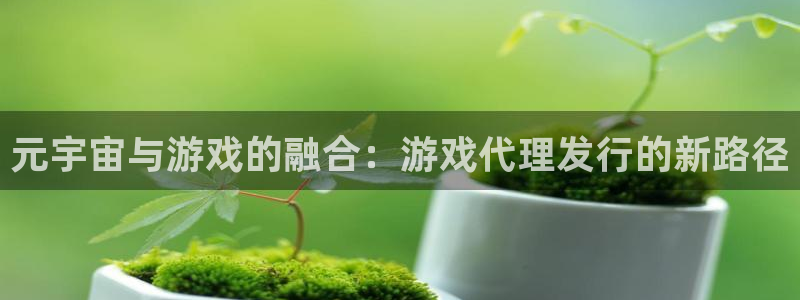 火狐电竞app官网庄园：元宇宙与游戏的融合：游戏代理发行的新路径