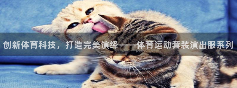 77体育官网