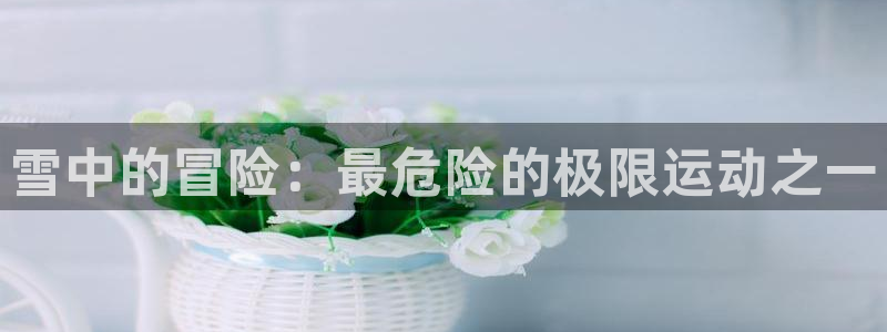 77体育官网