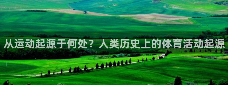 77体育官网