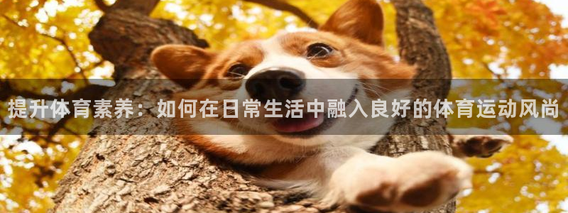 77体育app下载官网