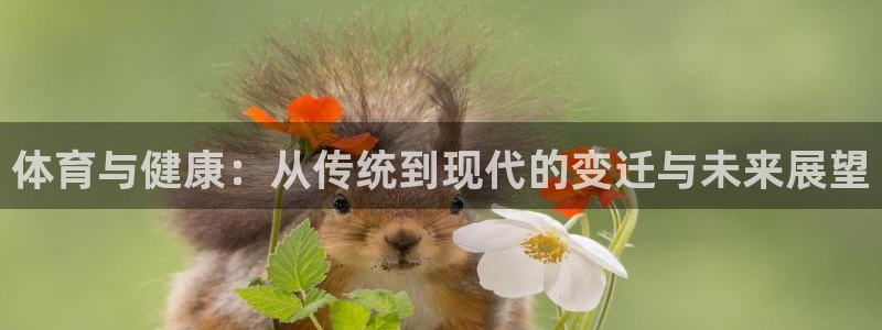 77体育官网：体育与健康：从传统到现代的变迁与未来展望