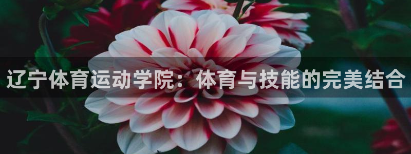 皇冠277体育：辽宁体育运动学院：体育与技能的完美结合