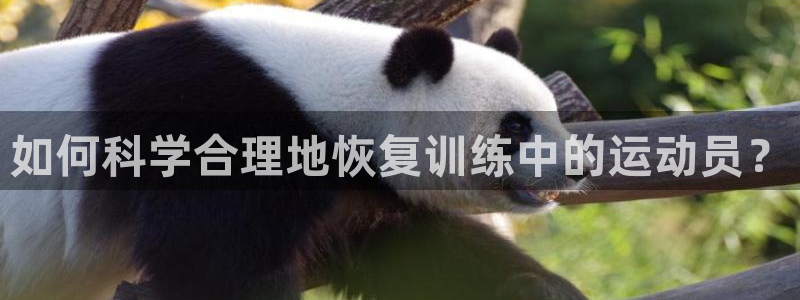 77体育：如何科学合理地恢复训练中的运动员？