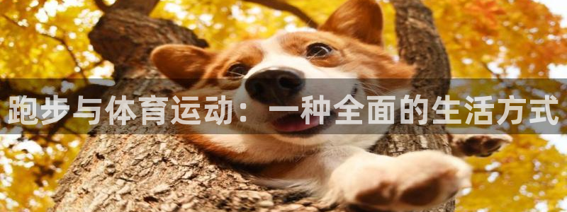 77体育：跑步与体育运动：一种全面的生活方式