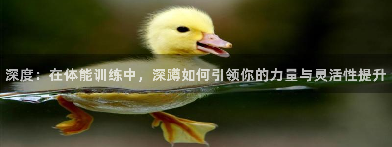 77体育app下载官网：深度：在体能训练中，深蹲如何引领你的力量与灵活性提升