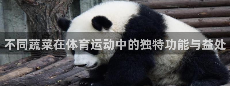 77体育app下载官网：不同蔬菜在体育运动中的独特功能与益处