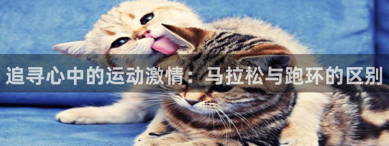 皇冠277体育：追寻心中的运动激情：马拉松与跑环的区别