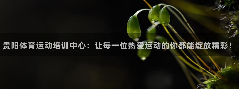 皇冠277体育：贵阳体育运动培训中心：让每一位热爱运动的你都能绽放精彩！