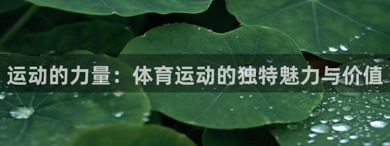 77体育官网：运动的力量：体育运动的独特魅力与价值
