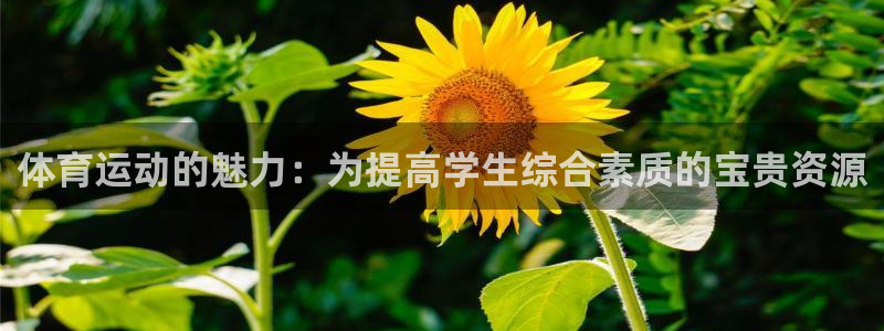 皇冠277体育：体育运动的魅力：为提高学生综合素质的宝贵资源